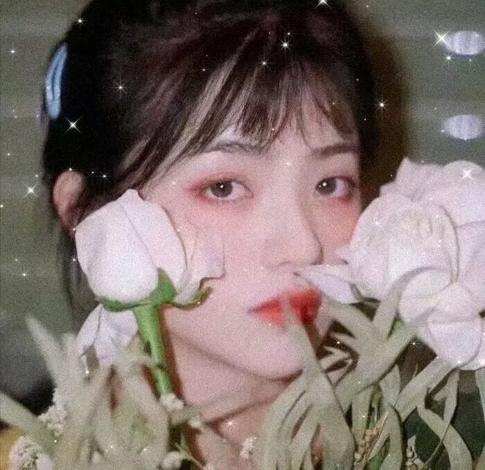 盛夏心动
